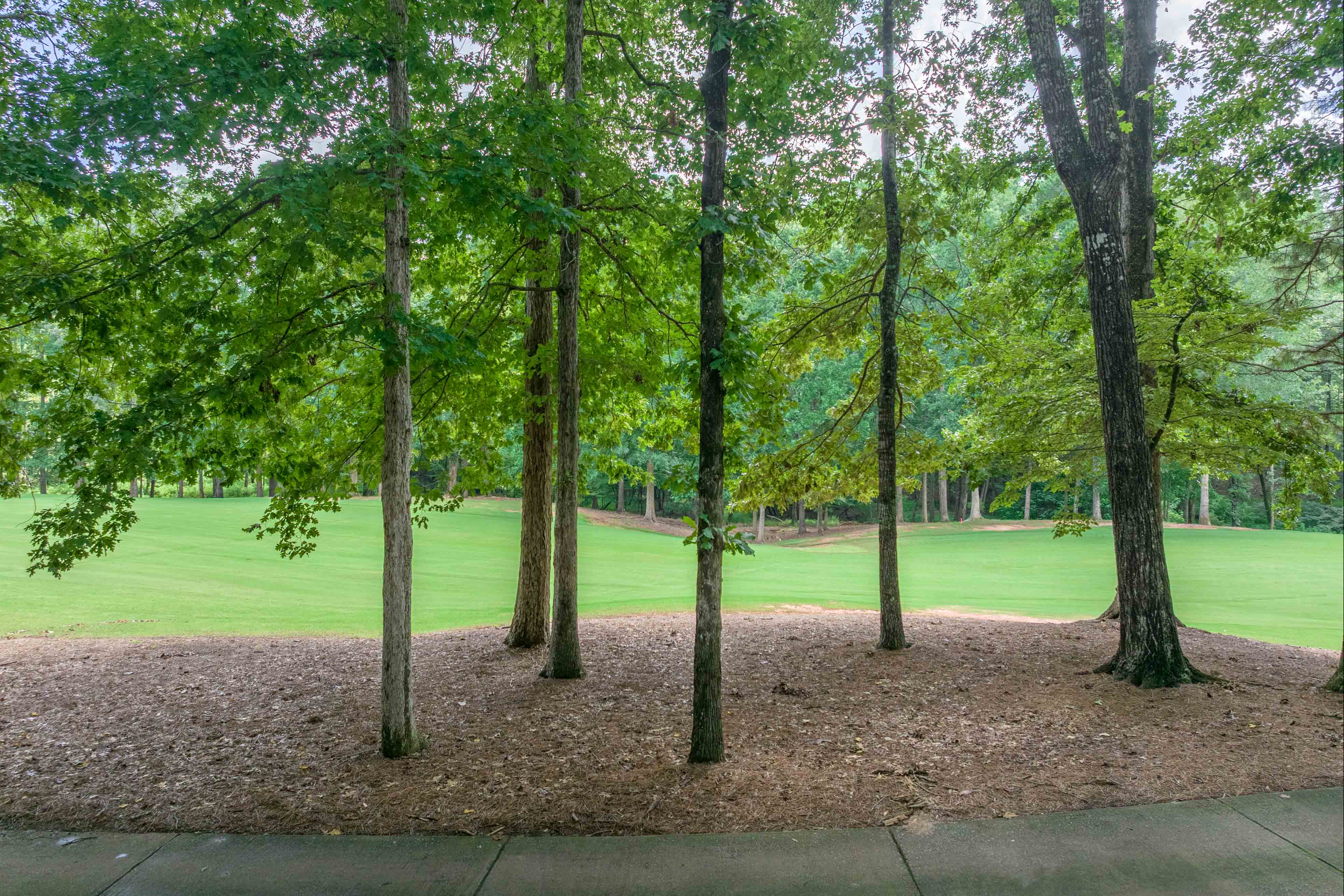 1321 Jackson Ridge Road image 59